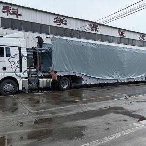 Central Asian Five Countries European-Style Car Carrier Cage Trailers