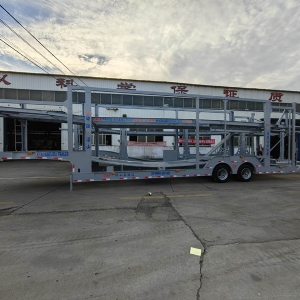 Central Asian Five Countries European-Style Car Carrier Cage Trailers