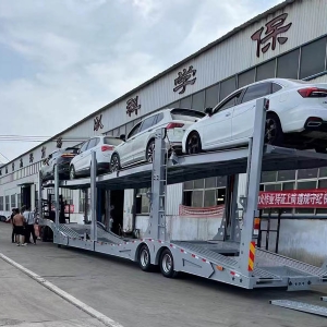 Central Asian Five Countries European-Style Car Carrier Cage Trailers